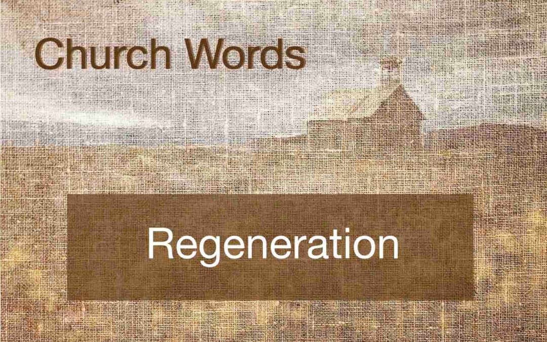 Regeneration means "born again"